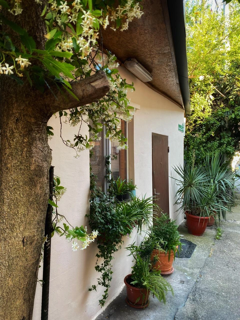 Дом под ключ 15 местный