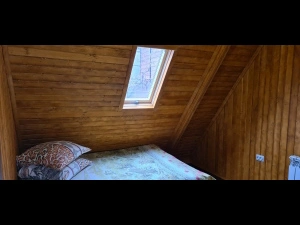 Фотография 66