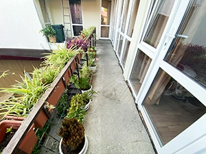 Фотография 9